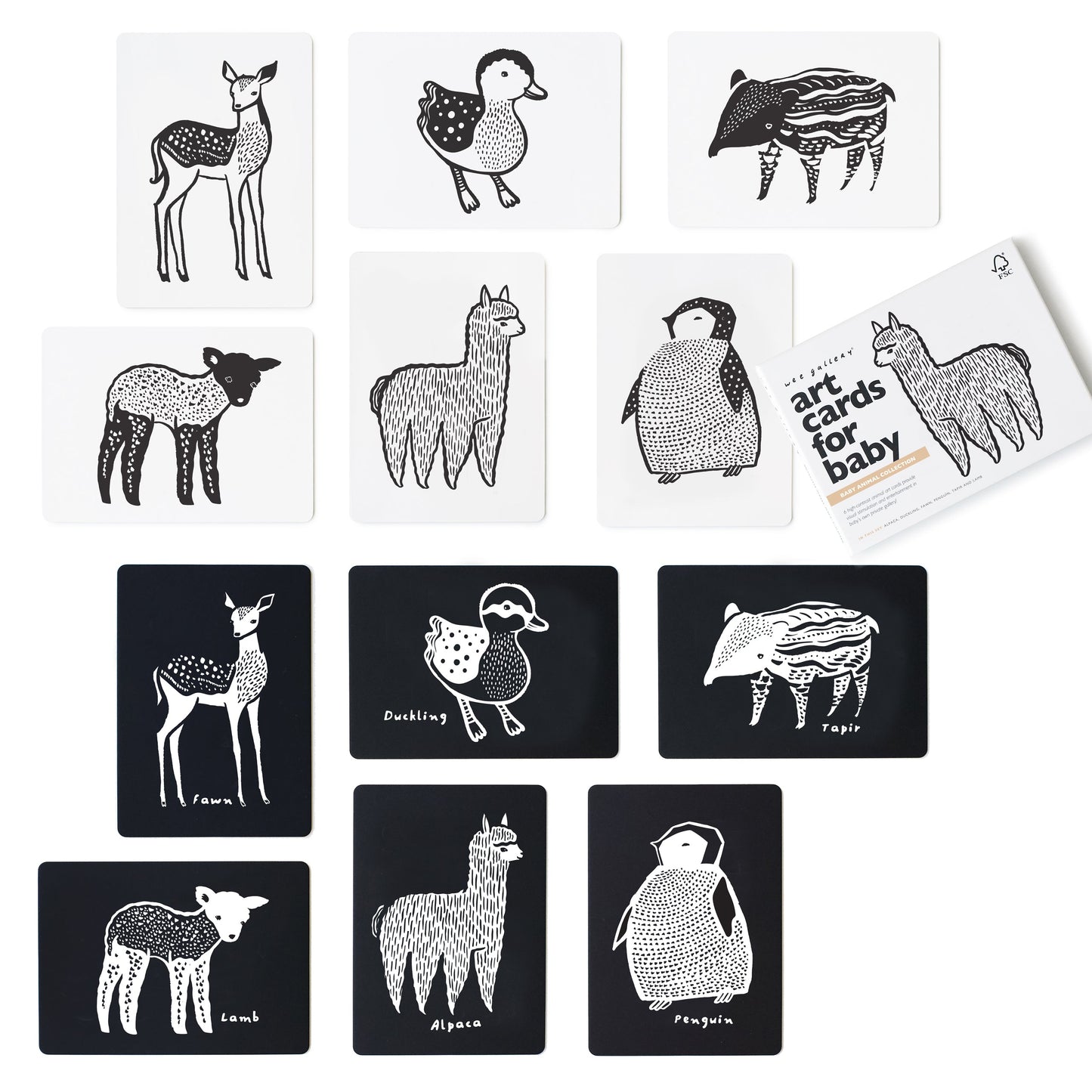 Art Cards for Baby- Baby Animals Collection